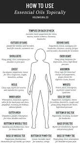 Essential Oils For Different Parts Of The Body Essential Oils Collection Essential Oils Essential Oils Aromatherapy