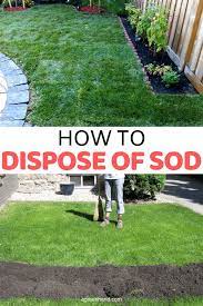 How To Dispose Of Sod No Grass Backyard Lawn Care Removing Sod