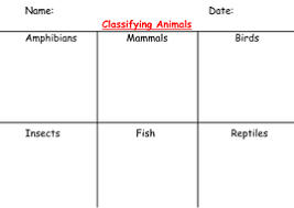 Classifying Animals Worksheet And Pictures Teaching Resources