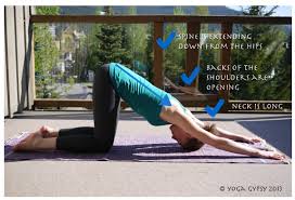 Yoga Tip Tuesdays Downward Facing Dog With Bent Knees With Images Yoga Tips Yoga Postures Yoga Benefits