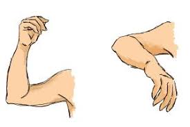 How To Draw Crossed Arms Drawingnow Cold gradient line drawing cartoon indifferent woman folding arms. how to draw crossed arms drawingnow