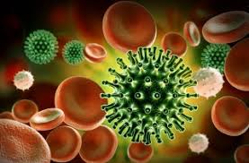 BREAKING! LatestCoronavirus Research Reveals That The Virus Has ...