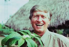 Image result for Rytigynia lewisii