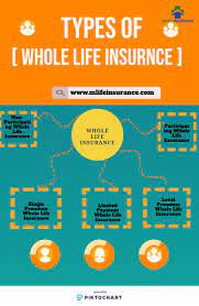 Check spelling or type a new query. Types Of Whole Life Insurance Life Insurance For Seniors Family Life Insurance Life Insurance Quotes