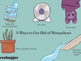 Best mosquito killer for yard 2021. How To Get Rid Of Mosquitoes Naturally And Reclaim Your Backyard