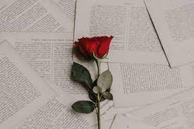 Maybe you would like to learn more about one of these? 7 Puisi Patah Hati