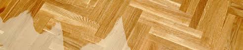Le parquet flottant, constitué de lames emboîtées les unes dans les autres, est de plus en plus populaire. Comment Nettoyer Et Entretenir Un Parquet Vitrifie Le Roi Du Parquet