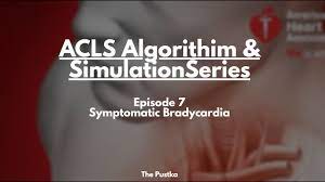 Walkthrough Of Neel Devi American Heart Association S Bradycardia Acls Scenario Youtube Aha advanced cardiovascular life support provider manual, p. walkthrough of neel devi american heart association s bradycardia acls scenario