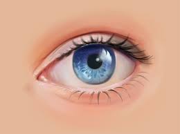 Digital Art Tutorial - Painting An Eye In Photoshop -- 9 Steps -- — Steemit