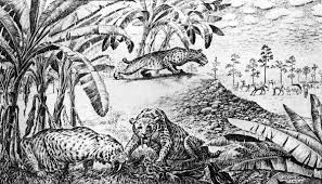 Download and print this saber tooth tiger coloring pages to print 95831 for the cost of nothing, only at everfreecoloring.com. Florida Memory Florida Saber Tooth Tiger And Pleistocene Horses