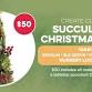 CREATE Class: Succulent Christmas Tree | Folsom event in Folsom, CA