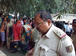 Image result for imeag todfod maar peet