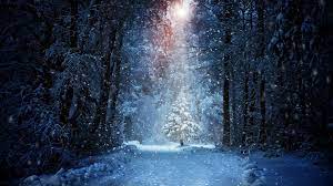 Best forest wallpaper, desktop background for any computer, laptop, tablet and phone. 21 Snowy Forest Wallpapers Wallpaperboat
