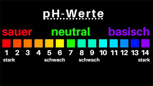 Was Ist Basische Ernahrung Und Wie Gesund Ist Sie Wirklich