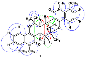 Image result for Vepris renieri