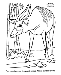 Select from 35970 printable coloring pages of cartoons, animals, nature, bible and many more. Bongo Coloring Pages Bongo Coloring Page And Kids Activity Sheet Animal Coloring Pages African Animals Animals