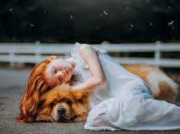 Right from kissing them to playing with them, they could feel what we feel for them. 7 Things Your Deceased Pet Would Want You To Know The Times Of India
