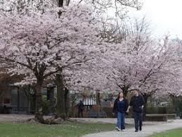 News source: Vancouver Sun