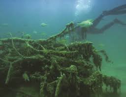 Easy dozen complete build your own fishiding artificial fish habitat kit. Chapter 10 Artificial Reefs And Structures Friends Of Reservoirs