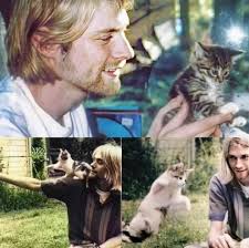 Kurt Cobain had a deep and sincere love for cats, which was reflected in  his affectionate attitude towards them and in his words. He was an animal  lover, and cats, in particular,