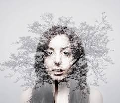 Erica Pucci's Instagram, Twitter & Facebook