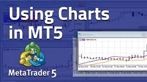 how to use charts in metatrader 5