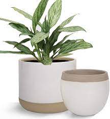 Planters are perfect for adding a pop of colour anywhere in your garden. Amazon Com White Ceramic Flower Plant Pots 6 5 4 9 Inch Indoor Planters Plant Containers With Beige And Cracked Detailing Garden Outdoor