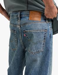 Image result for Sutera levis