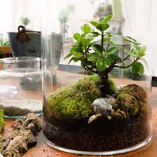 All you should have to make a good terrarium. Mini Garten Im Glas Kies Puzzolane Und Erde Als Substrat Wohnen