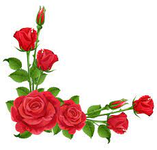 Red Roses Transparent Png Clipart Red Roses Clip Art Borders Beautiful Red Roses