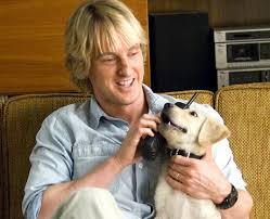 Southflorida.com dave aizer interviews jonah the dog, one of the stars of the new holiday movie marley and me. 10 Marley And Me Top 20 Tearjerker Movies That Have Broken Our Hearts Heart