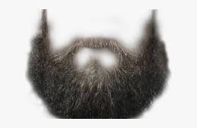 Hair is not always the same color, so a good mixture of lights and darks is important when making realistic facial hair. Transparent Photoshop Beard Png Beard Photoshop Png Download Kindpng