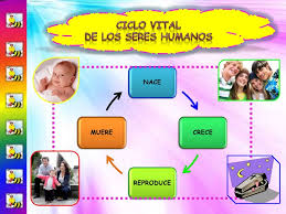 Imagen relacionada