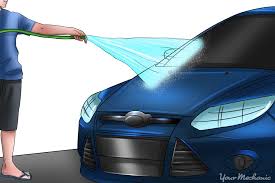 Plain old salt can be used to slough away sap by rubbing a bit between your hands; How To Get Sap Off A Car Yourmechanic Advice