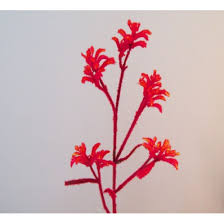 Most tropical flowers are native to the tropical americas and pacific islands. Artificial Kangaroo Paw Flowers Artificial Flowers