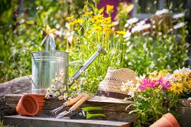 Vor der ersten nutzung im frühling sollten sie gut durchgespült werden, rät der immobilienverband ivd in berlin. Garten Sommer Fruhling Gartenarbeit Giesskanne Hut Blumen Franks Kleiner Garten Willkommen In Franks Kleinem Garten