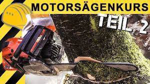 Deshalb planen sie, bevor sie mit dem fällen beginnen. Wie Fallt Man Einen Baum Baum Fallen Kettensageschein Teil 2 Youtube
