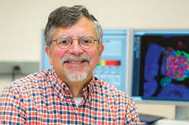 Karen Buonocore's Instagram, Twitter & Facebook