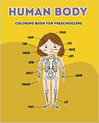These coloring worksheets from living life and learning are a great stepping stone into learning about the human body. Human Body Coloring Book For Preschoolers Best Educational Gift Or Present For Kids 3 4 5 6 7 Year Old And Other Anatomy Enthusiasts Mr Skeleton 9798557837989 Amazon Com Books