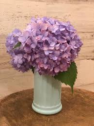 Dollar Tree Diy The Shabby Tree Diy Dollar Tree Decor Dollar Tree Diy Crafts Dollar Tree Diy