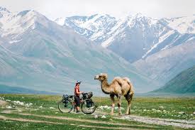 As humans, our natural reaction is to either stay. Ryan Wilson On The Radavist A Group Of Individuals Who Share A Love Of Cycling And The Outdoors