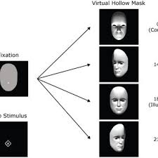As gregory (1970, 1997) has pointed out, this illusion demonstrates that the adult . Pdf Where Do The Eyes Really Go In The Hollow Face Illusion