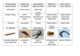 The kingdom animalia is filled with an infinite variety of creatures, with new species being discovered every year. Invertebrates Sorting Cards Teaching Resources