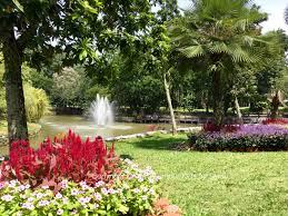 It is considered as a green lungs of the kuala lumpur city. Perdana Botanical Garden Kualalumpurkids