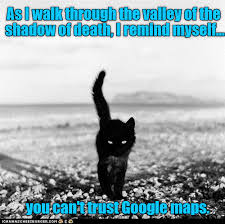 Warrior cat vines that are clean original memes are not mine. Cat Memes Clean Memes
