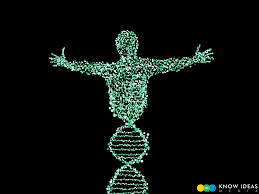 Paternity testing and other dna tests rely heavily on dna's structure and function. The History Of Evolution From Darwin To Dna Todayville Agriculture