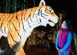 A Wild Wonderland Of Light L A Zoo Lights Zoo Lights Animal Paintings Zoo