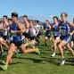 Rogue XC