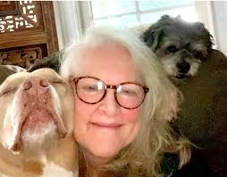 Shelter Angels Pit Bull...