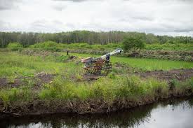 Sistem Persawahan Kurang Prospektif di Kalimantan Halaman all - Kompas.com